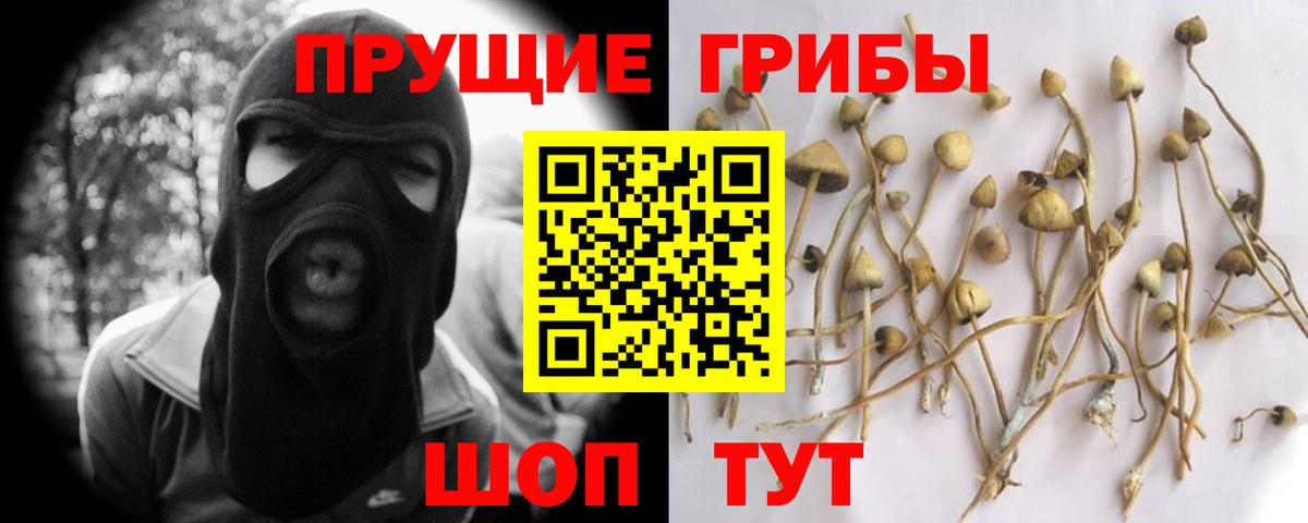 Галлюциногенные грибы прущие грибы Салават